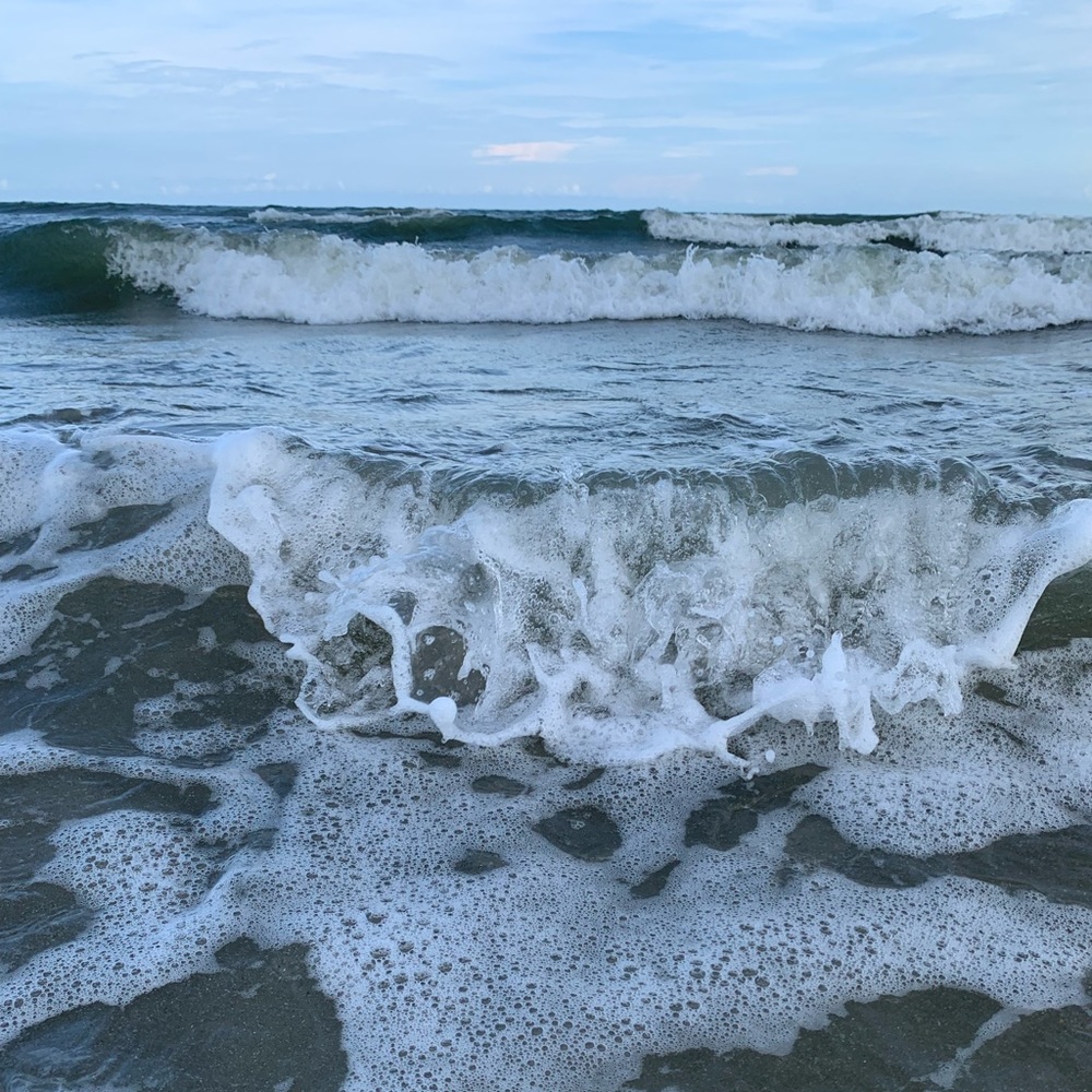 Meet your Posher, Hadley